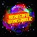 WONDERFUL WONDERHOLIC