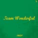 TEAM WONDERFUL