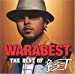 WARABEST~THE BEST OF 童子-T~