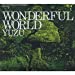 WONDERFUL WORLD(初回限定盤)(DVD付)