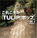 これこそが「TULIP ポップ」だ！The Complete Single Box