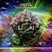 THETA-never ending fantasy-