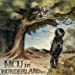 MCU in WONDERLAND e.p.