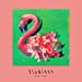 Flamingo / TEENAGE RIOT(フラミンゴ盤 初回限定)(DVD付)