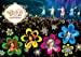 MilkyHolmes Live Tour 2011“Secret Garden”LIVE DVD