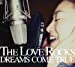 THE LOVE ROCKS  (初回限定盤)(DVD付)