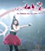 Kou Shibasaki Live Tour 2010~ラブ☆パラ~[Blu-ray]